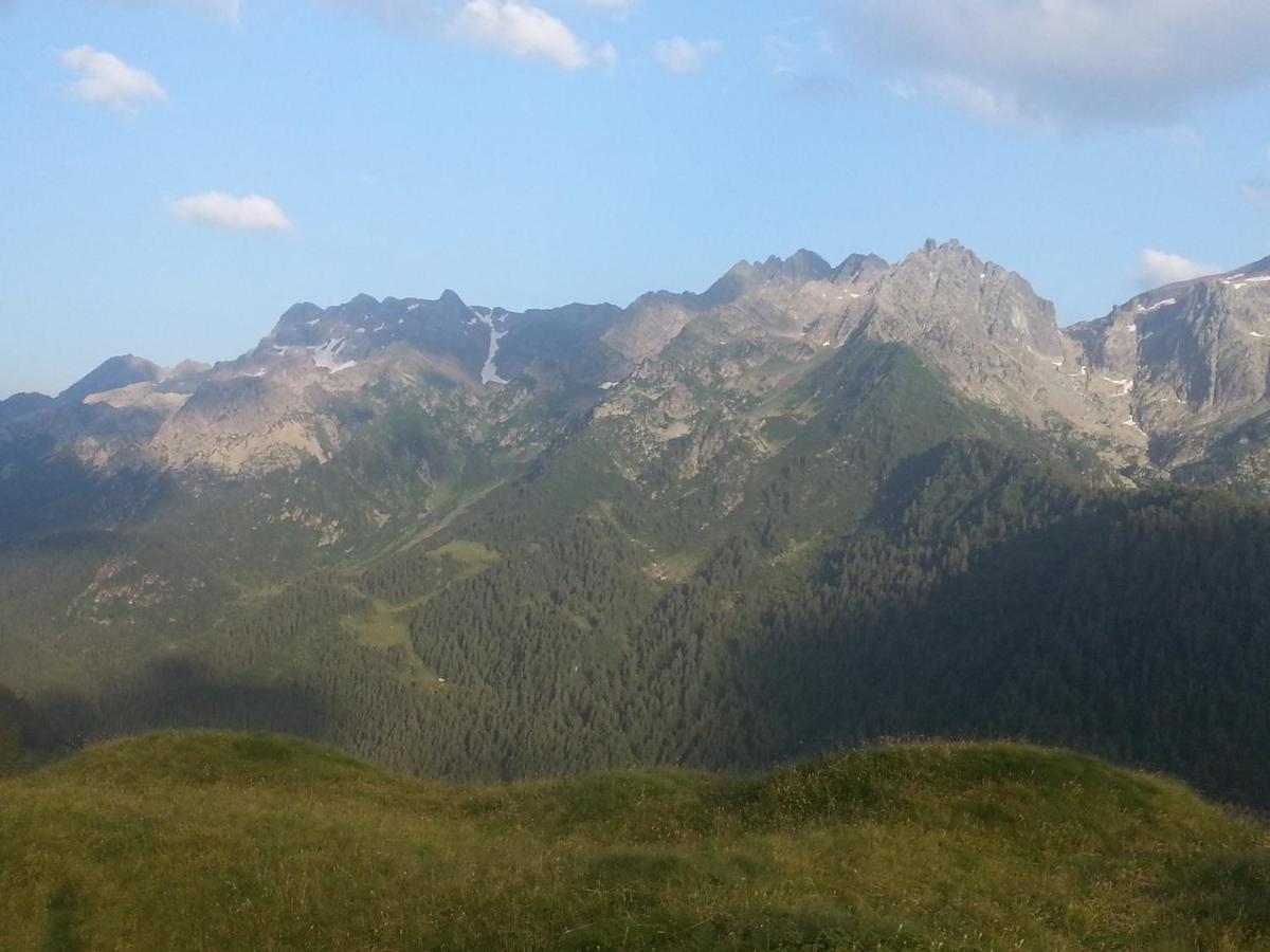 Ar Mountains Lodge Villachiara Branzi Eksteriør bilde